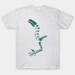 Opal Iguanodon Dinosaur T-Shirt